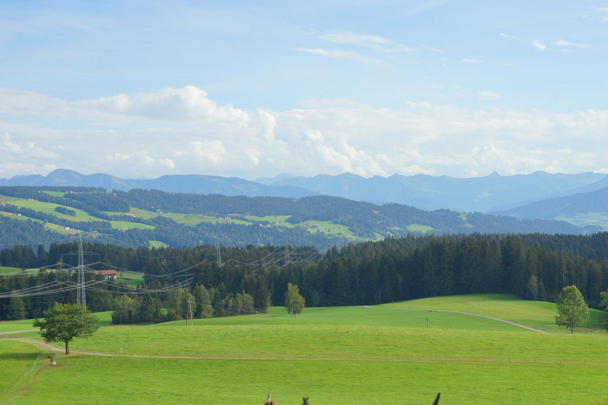 Relax-Rose Mit Pool Und Sauna Scheidegg Exterior foto